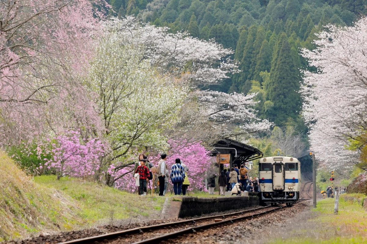 キハ40形と嘉例川駅