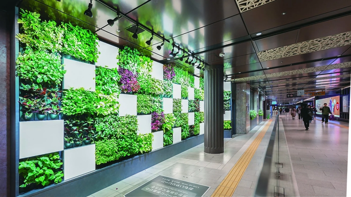 博多駅（空港線）の緑化