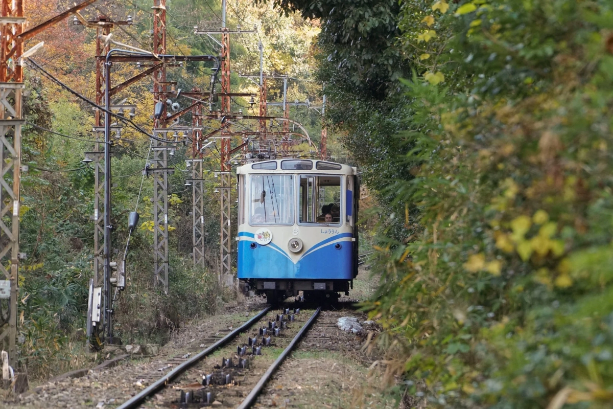 秋の木々に囲まれた山間を走る青と白のケーブルカー