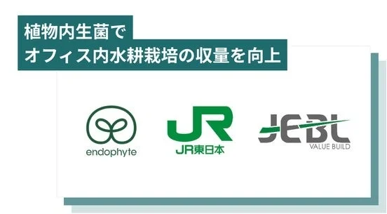 植物内生菌でオフィス内水耕栽培の収量を向上