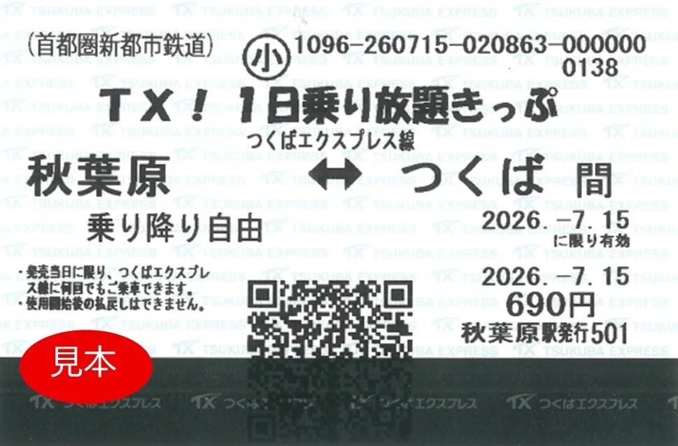 TX! 1日乗り放題きっぷ 小児用見本