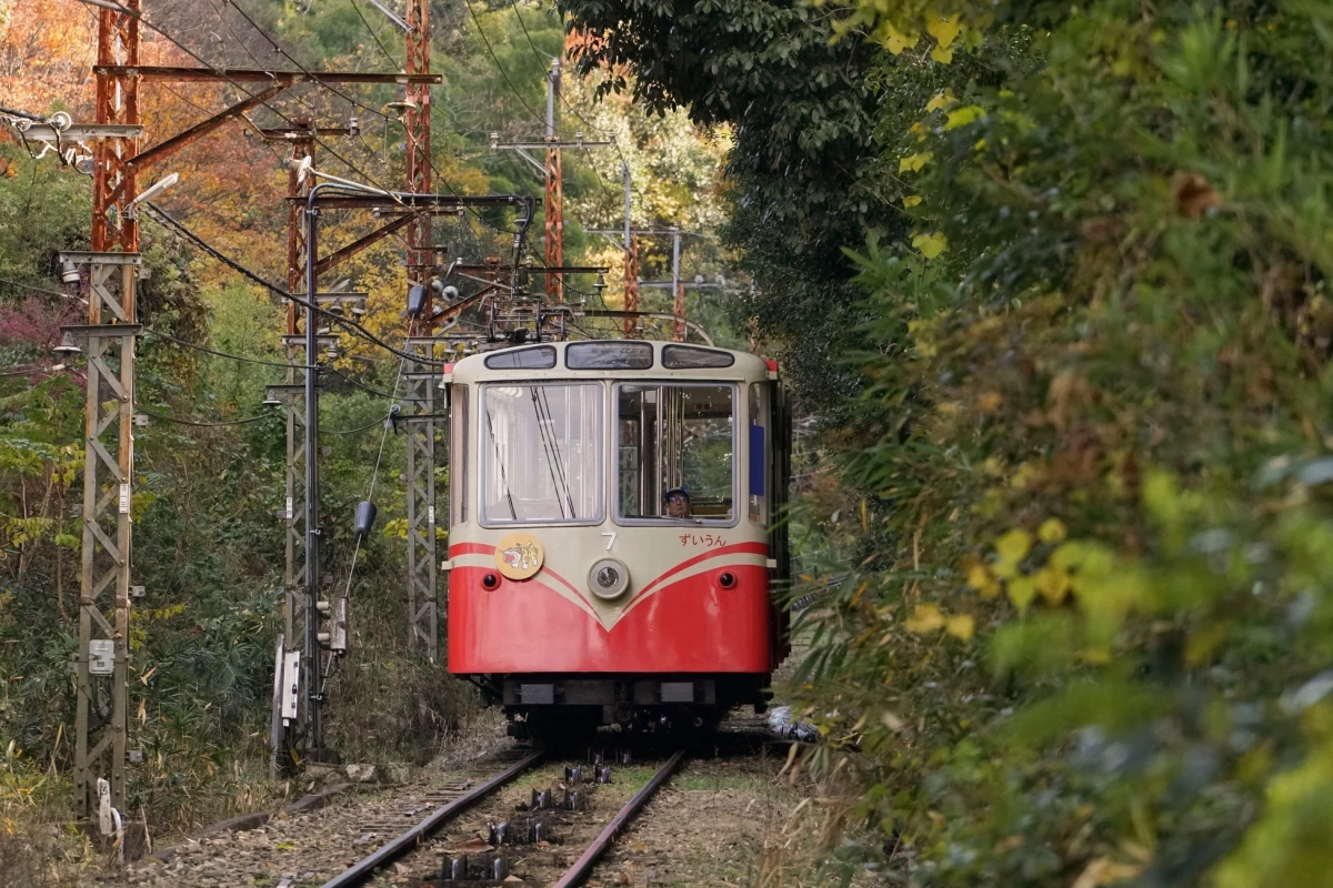 紅葉が始まった山道を走る赤とクリーム色のレトロなケーブルカー